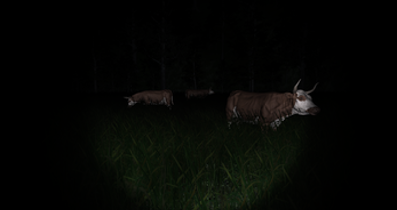 Animal Control Image