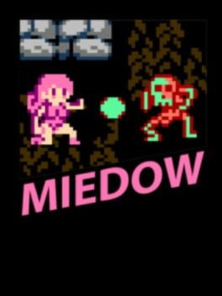 MiedoW Image