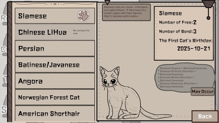 Cat Familiar Center Image