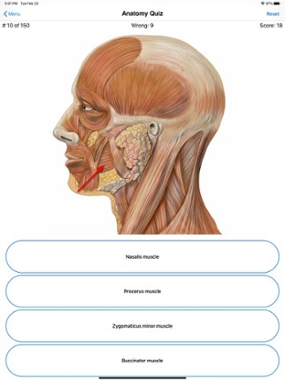 Anatomy Quiz Image