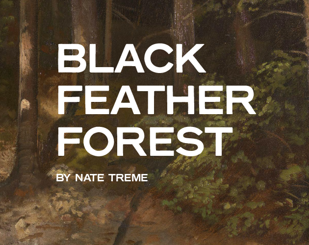 Games like Black Feather Forest