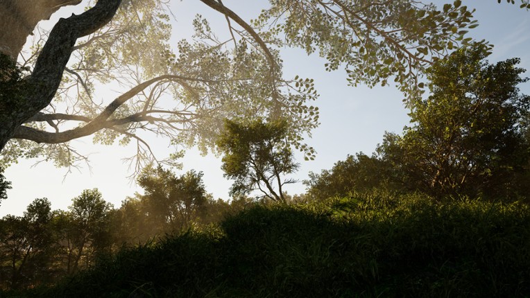 Calming Forest screenshot