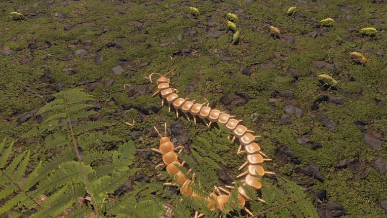 Centipede Simulator screenshot