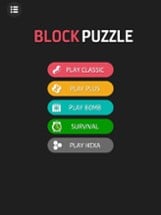 Color Block Puzzle Image