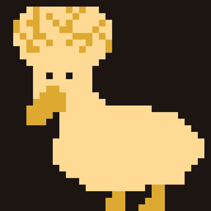 This is a Duck Image