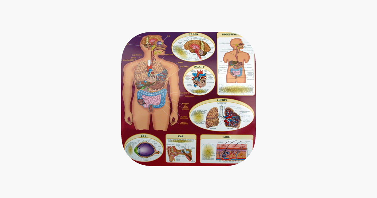 Games like Human Biology Quiz