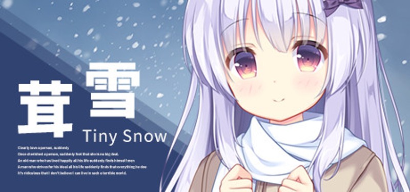 Tiny Snow Game Cover