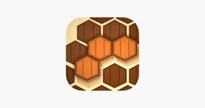 Wooden Hexa Puzzle Image