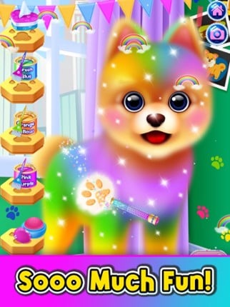 Pet Games: Rainbow Unicorn screenshot