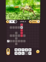 Pictocross: Picture Crossword Image