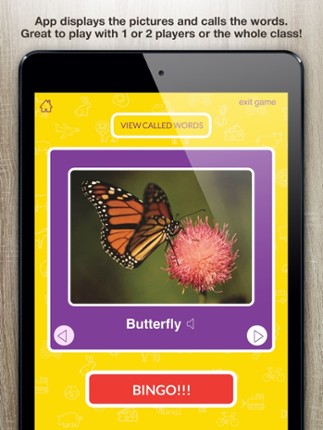 Picture Recognition Bingo Caller's App screenshot