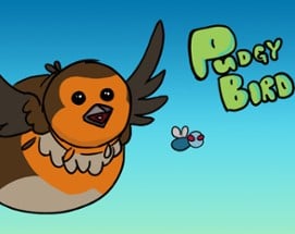 Pudgy Bird Image