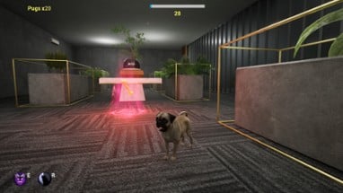 Pug and Seek Image