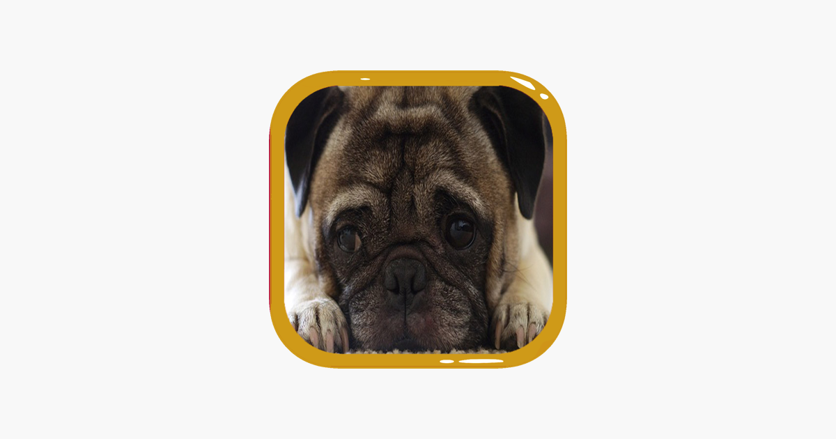 Games like Dog Jigsaw Puzzles - Activities for Family