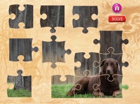 Dog Jigsaw Puzzles - Activities for Family Image