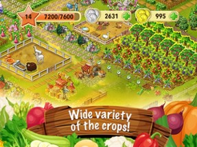 Farm Up! HD: farming business Image