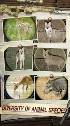 Hunting Sniper: Pursuit Image