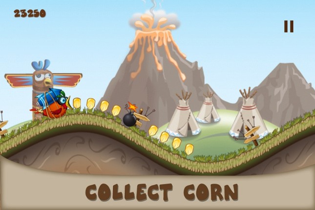 Rocket Chicken Image