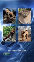 Animals Jigsaw Puzzle Image