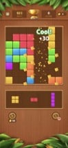 Block Puzzle Journey Image