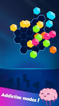 Block! Hexa Puzzle™ Image