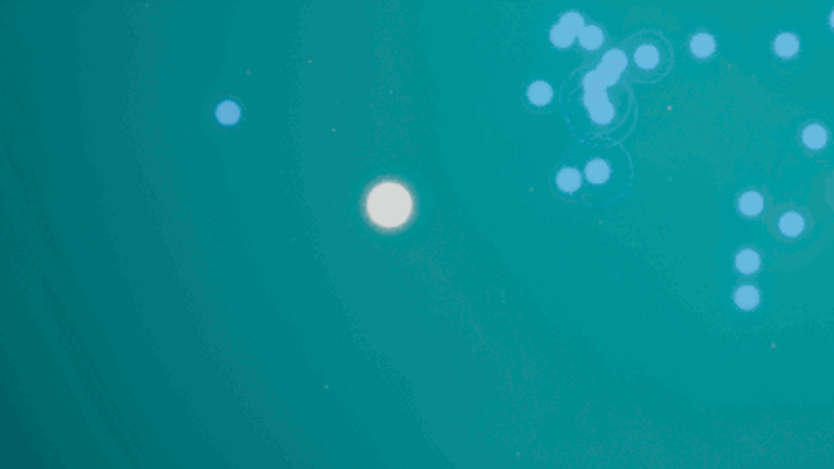 Fragment: ÆLSE Image