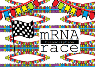 The mRNA Transcription Race Image