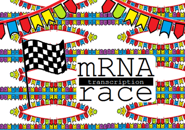 The mRNA Transcription Race Game Cover