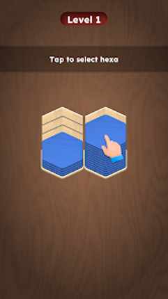 Wood Hexa Sort - Color Match Image