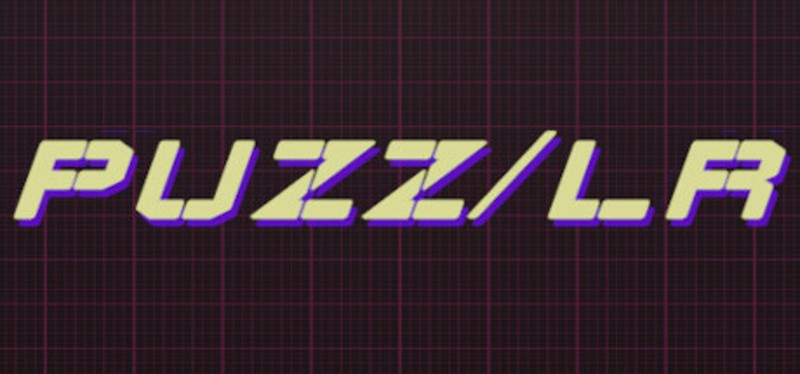 Puzz/LR Image
