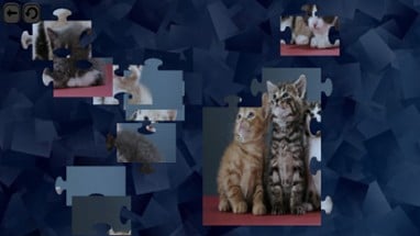 Puzzles for smart: Cats Image