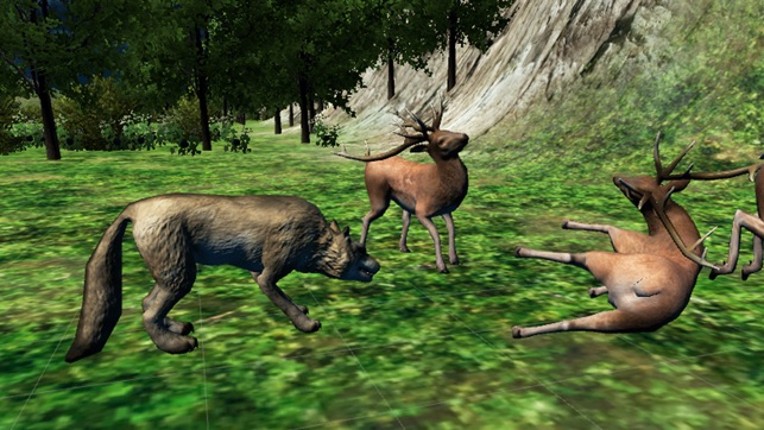 WOLF LIFE  - THE ULTIMATE SIMULATOR OF WILD WOLF Image