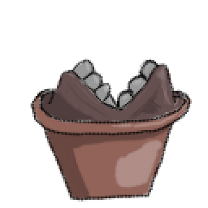 Angiosperm Image