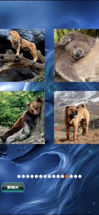 Animals Jigsaw Puzzle screenshot