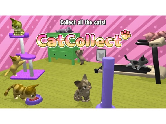 Cat Collect Image