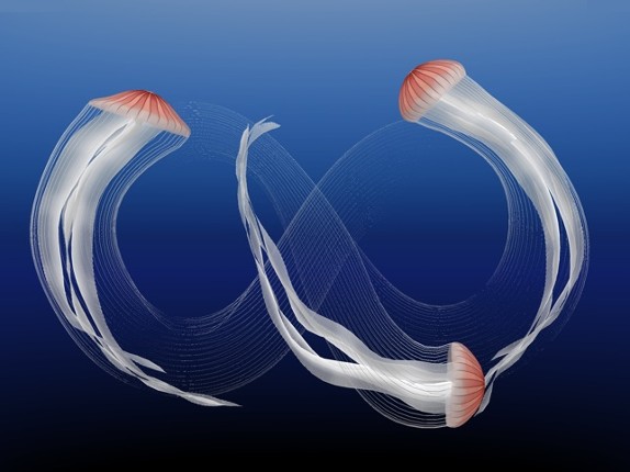 Jellyfish AR/VR 2 screenshot