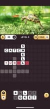 Pictocross: Picture Crossword Image