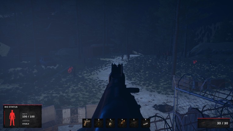 Road of a Survivor Image
