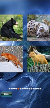 Animals Jigsaw Puzzle Image