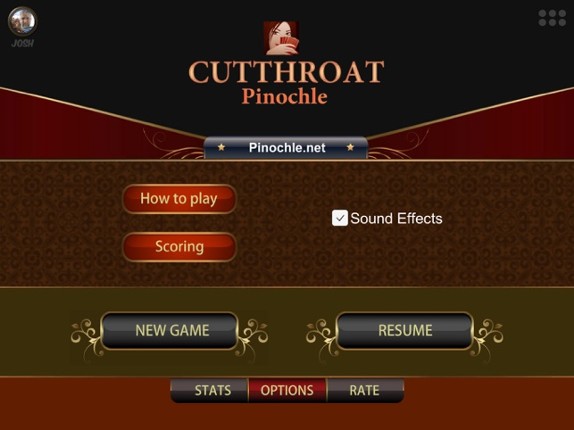Cutthroat Pinochle Online screenshot