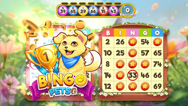Bingo:  Free the Pets screenshot