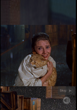 Where_is_a_cat Image