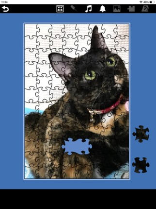 Jigsaw - Jigsaw Puzzle Fun! screenshot