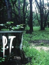 P.T. Image