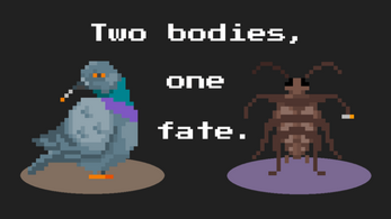 Persistent Indifference to Fire Safety Image