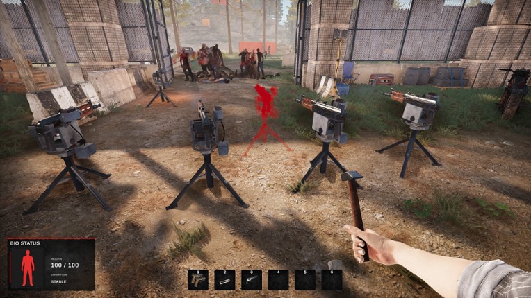 Road of a Survivor Image