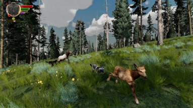 WolfQuest Image