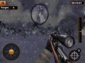 Bird Hunter Sniper Shooter Image