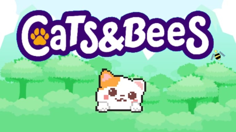 Cats and Bees Image