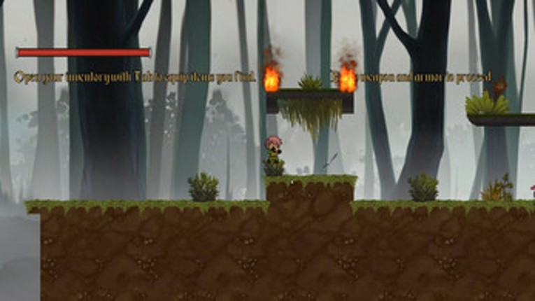 GIHA2 screenshot